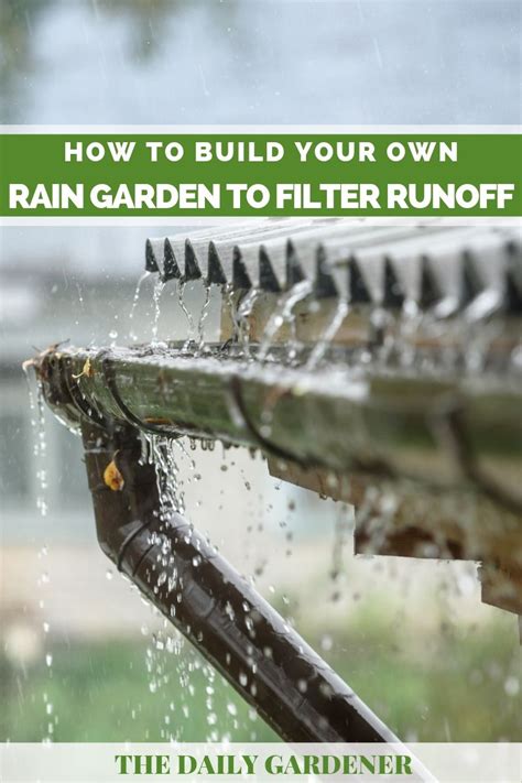 How To Build Your Own Rain Garden To Filter Runoff