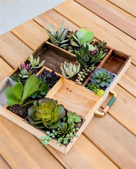 How To Make A Succulent Letterpress Tray Planter Succulents Diy