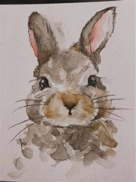 Pin By Mary Reinhardt On Watercolor In Bunny Watercolor