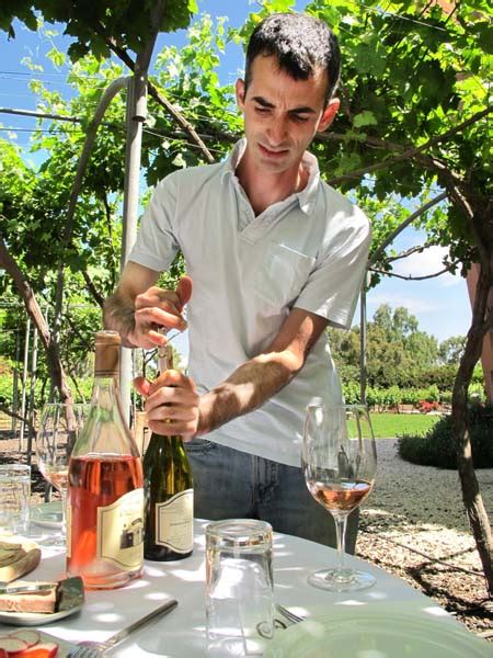 Wine Tasting Vineyards In France Chateau Golan Israel