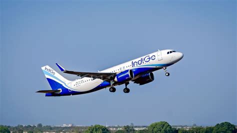 All You Need To Know About Indian Airlines’ Loyalty Programme