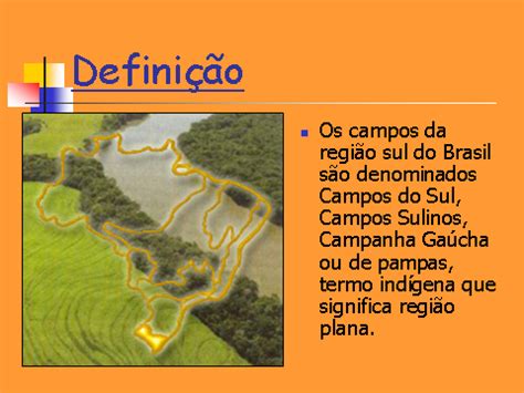 Projeto Biomas Brasileiros Pampas