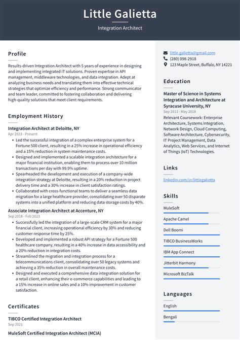 Top Integration Architect Resume Objective Examples