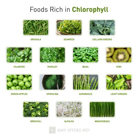 benefits  chlorophyll ammd