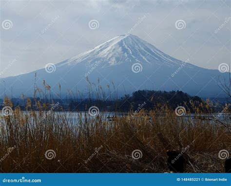 Mount Fuji In Winter Japan Stock Image Image Of Winter Color 148485221