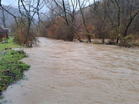 Cod Galben De Viituri N Jude Ul Bihor Oradea Ro