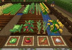 Images - Farmer's Delight - Mods - Minecraft - CurseForge