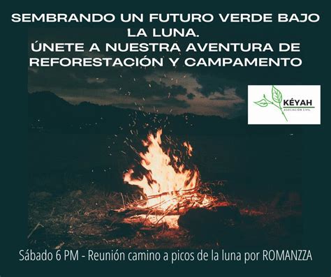 Invitan A Campamento Ambiental De Reforestemos En Picos De La Luna