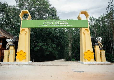 Sejarah Taman Keanekaragaman Hayati Hutan Pelawan Kabupaten Bangka