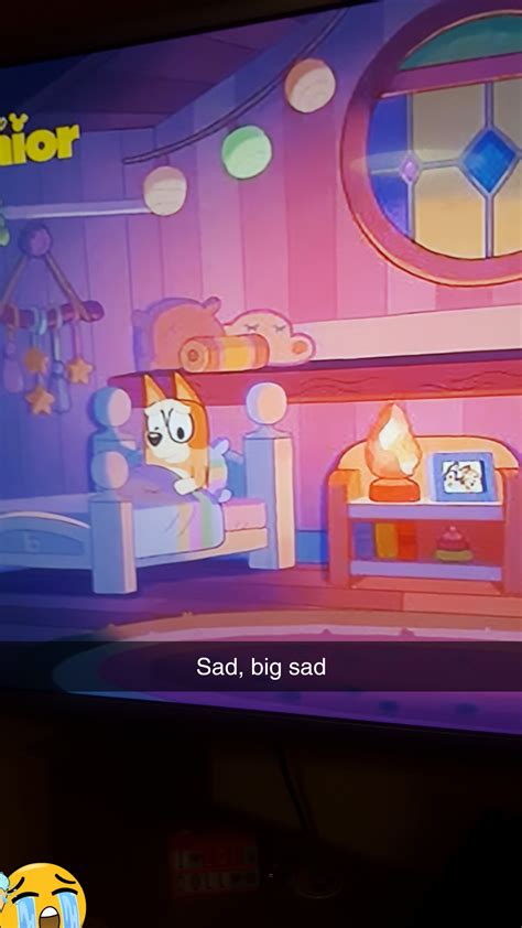 Big Sad : r/bluey