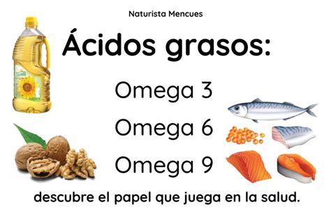 Descubre La Importancia De Los ácidos Grasos Omega 3 6 9 Mencues