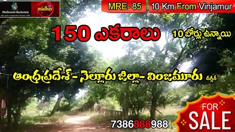 Land For Sale In Andhra Pradesh State Nellore Dt Near Vinjamur