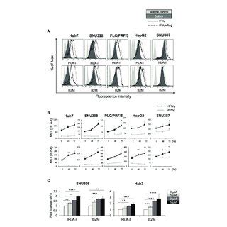 Regorafenib Induces Expression Of Cell Surface Hla I Molecules In