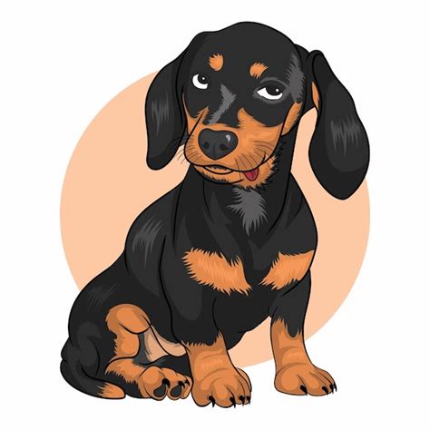 Premium Vector A Dachshund Dog Is Imagining Something