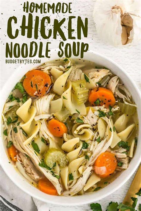 The Best Homemade Chicken Noodle Soup Budget Bytes