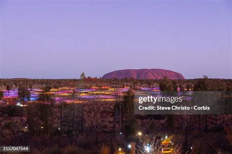 art instillation field  lights uluru  artist bruce munro