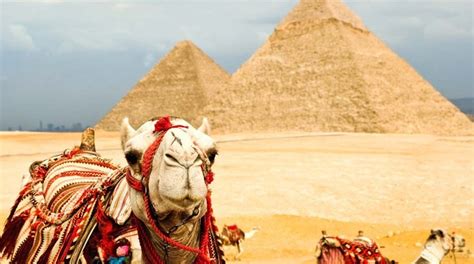 Виза в Египет 2025 для белорусов: цены, список документов – People Travel