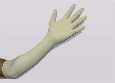 White Female Elbow Latex Gloves For Laboratories At Best Price In Noida