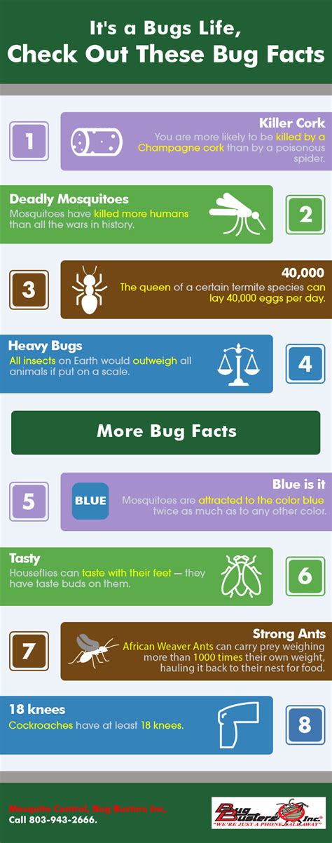 bugs life check   bug facts shared info graphics