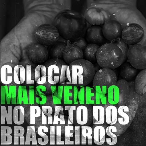 Flor de Pimenta on Twitter RT minc rj Muito grave urgente Nós do