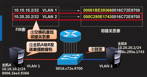 cisco三层交换和动态路由不同vlan间的通信静态路由实现全网互通 知乎