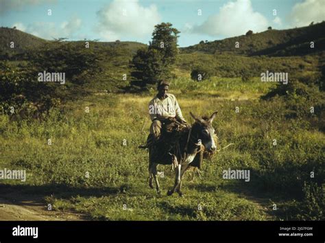 St Croix Virgin Islands Stock Photo Alamy