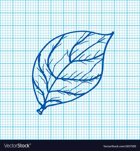 How To Draw A Flower On Graph Paper How To Draw A Line Graph