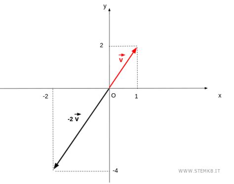 La Moltiplicazione Di Un Vettore Per Uno Scalare Stemkb It