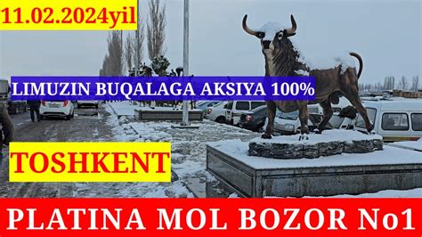 PLATINA MOL BOZOR No1. BUQALAR BOZORGA TO‘LIB KETTI BUGUN BOZOR ZO‘R BO ...