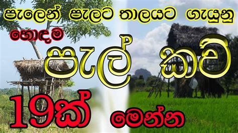 පල කව pal kavi pal kavi sinhala හඳම පල කව 19 ක එකතවක