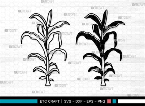 10 Corn Tree Svg Designs Graphics