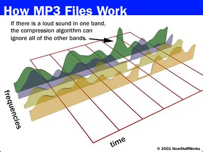 What Are The Differences Between All These Audio Formats Here S All