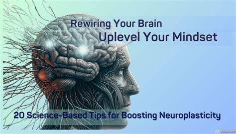 Rewiring Your Brain 20 Science Based Tips For Boosting Neuroplasticity