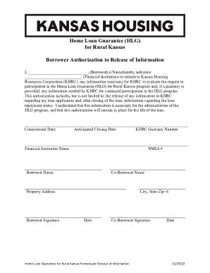 Fillable Online Borrower Authorization Form Fill Online Printable