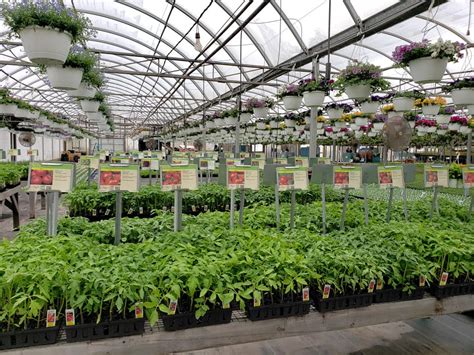 Rocky Ridge Greenhouse Home Facebook