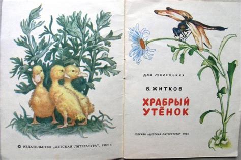 Храбрый утенок рисунок (49 фото)