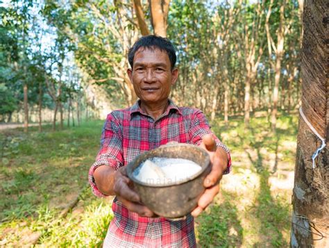 Kerajaan Salur RM446 Juta Kurangkan Beban Pekebun Kecil Getah Sejak