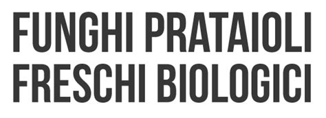 Funghi Prataioli Freschi Fungo BIOFungo BIO