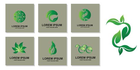 Premium Quality Green Leaf Plant Logo Vector Symbol 19848082 Vector Art At Vecteezy