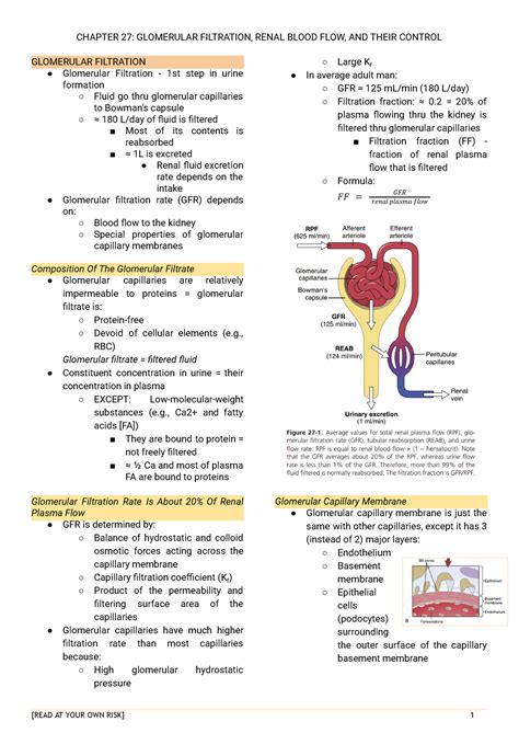 Physiology Ch Chapter Glomerular Filtration Renal Blood Flow