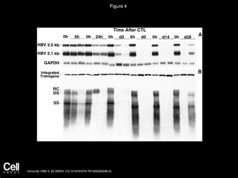 Volume 4 Issue 1 Pages January 1996 Ppt Download