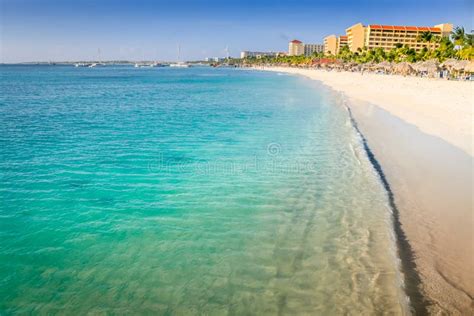 Aruba Idyllic Caribbean Palm Beach At Sunny Day Dutch Antilles