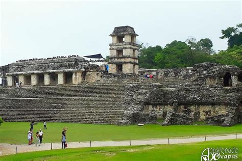 Tripadvisor Cascadas De Agua Azul Misol Ha Y Zona Arqueol Gica