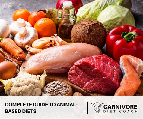 Animal Based Diets The Complete Guide The Carnivore Diet Coach