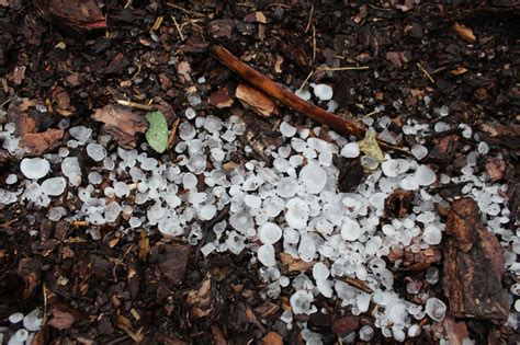 Reportnet De Unwetter In Brandenburg Brachten Viel Regen