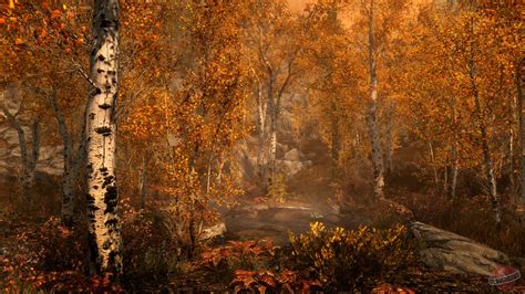 The Elder Scrolls 5: Skyrim - описание, системные требования, оценки ...
