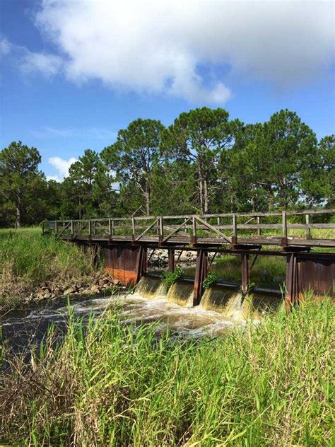 Lake Kissimmee State Park - Lake Wales, United States