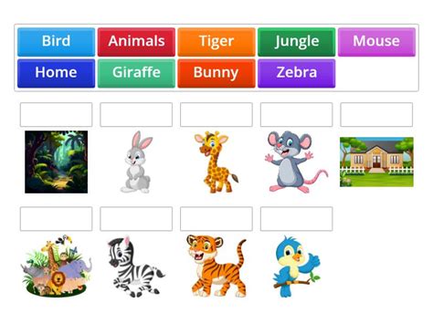 Animals Connect The Picture With The Correct Word Match Up