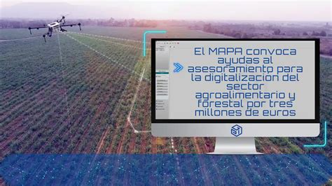 Ayudas Digitalización Sector Agroalimentario