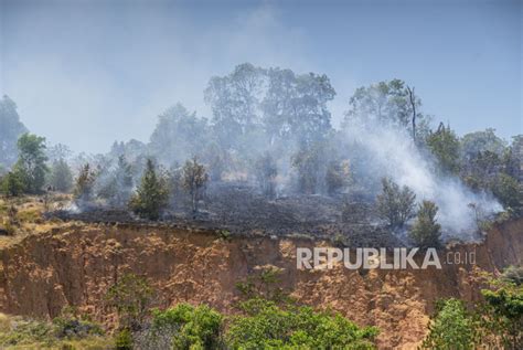 Kawasan Hutan Lindung Egon Ilimedo Terbakar Republika Online